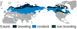 Distribución del lagópodo común