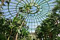Winter Garden dome interior - Laeken Royal Greenhouses - Royal Castle of Laeken - Brussels, Belgium - DSC07518