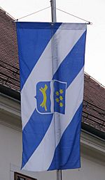 Archivo:Zastava Brodsko-posavska županija