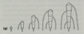 AD Bell (1991) Plant Form Figure 169-g