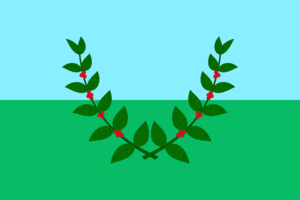 Archivo:Bandera de Bramón (Junín, Táchira)
