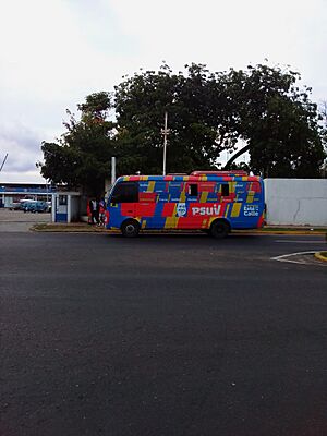 Archivo:Bus del PSUV