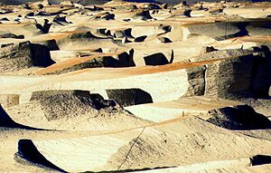 Archivo:Campo de piedra pómez en Catamarca - Argentina