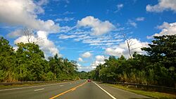 Carretera PR-142, Toa Alta, Puerto Rico (1).jpg