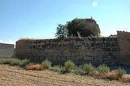 Castell de Castellnou d'Ossó2.JPG