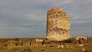 Archivo:Cerrillos torre