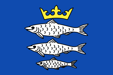 Chiny vlag