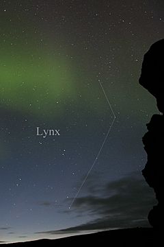 Archivo:Constellation Lynx