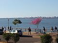 Costanera-posadas-2