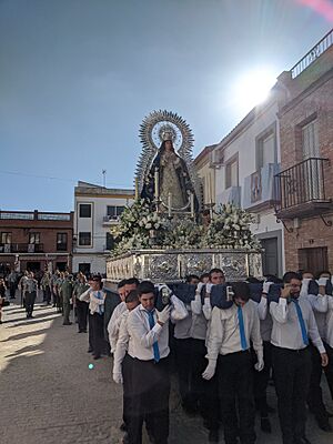 Archivo:Dia inmaculada