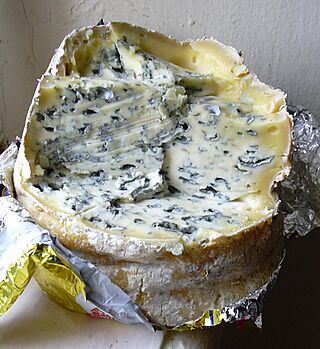 Fourme d'Ambert entamée.jpg