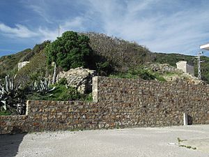 Archivo:Fuerte Punta Carnero (6)