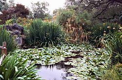 Archivo:Garden pond, Los Angeles Arboretum