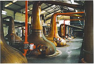 Archivo:Glenfiddich Distillery stills
