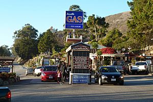 Archivo:Gorda, California 2013-12-22 (a)