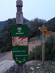 Archivo:Gr1pallerolsderialb