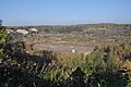 Grube Messel 01
