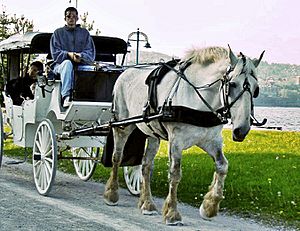 Archivo:Horse and carriage-Duluth-2006