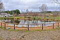 Lagunilla en Quintana del Castillo