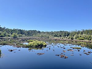 Archivo:Lalak Lake Recreational Park 07