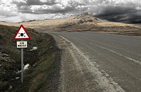 Minefield road sign - Falkland Islands.jpg