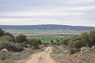 Muñochas y Padiernos.JPG