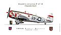 P47D 509th Fighter Squadron 1944