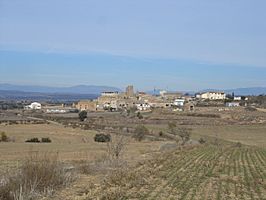 Panoràmica de Montfalcó d'Agramunt.JPG