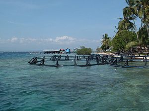Archivo:Pearl farm (Seram, Indonesia)