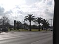 Plaza Victimas del Terrorismo- IMG 20200117 120734 709