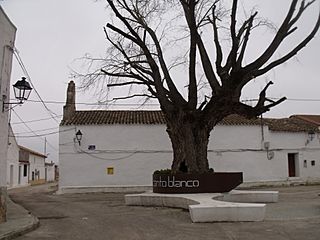 Plaza en Cantoblanco 02.jpg