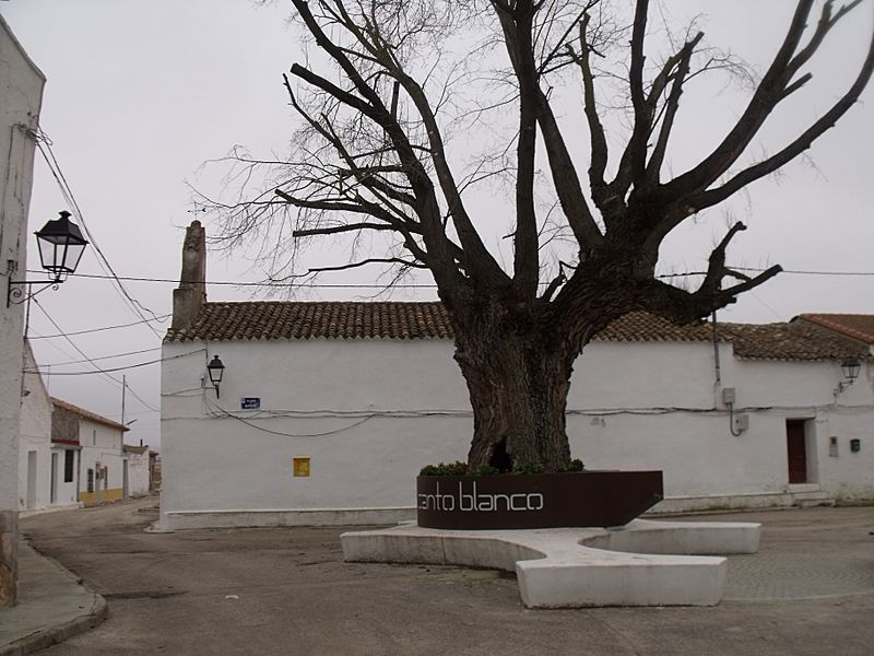 Plaza en Cantoblanco 02