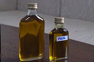 Archivo:Rapeseed oil obtained as an experiment. Buryatia, Russia