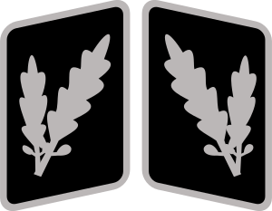 SS-Oberführer Collar Rank