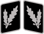 SS-Oberführer Collar Rank.svg