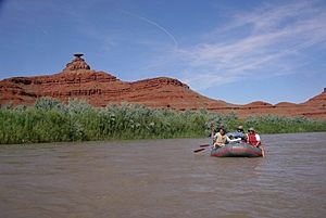 Archivo:SanJuanRiver2006