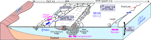 Archivo:Sea ice Drawing General features