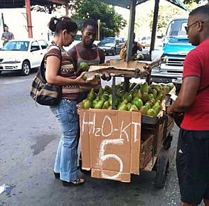 Archivo:Selling avocados in Santo Domingo, DR