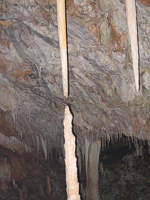 Archivo:Stalactite in Grotte de Soreq, israel3