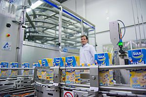 Sula Milkshakes Dairy Production Plant.jpg