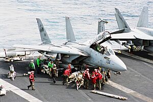 Archivo:Tomcat.f14.750pix