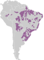 Tupian languages