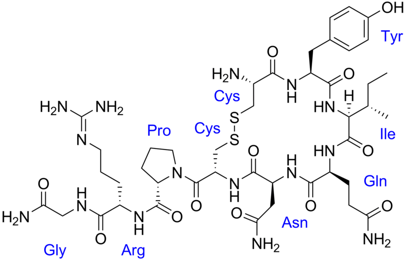 Vasotocin with labels