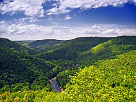 Worlds End State Park Far View.jpg