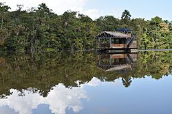 183 Rivière de La Comté Guyane Française.jpg