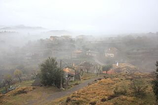 275.Olsón.JPG