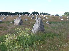 4722.1099 Menhire,bis zu 4 Meter hoch,von OstnachWest in 1167 Meter Langen Alignements(Granit-Steinreihen) in einem Halbkreis endend Le Ménec,Carnac ,Departement Morbihan,Bretagne Steffen Heilfort