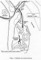 Air Florida Flight90 NTSB diagram