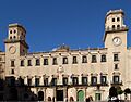 Alicante town hall 2010