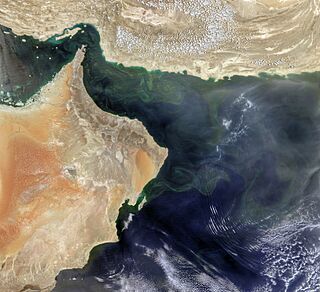 Arabiansea vir 2019123 lrg.jpg